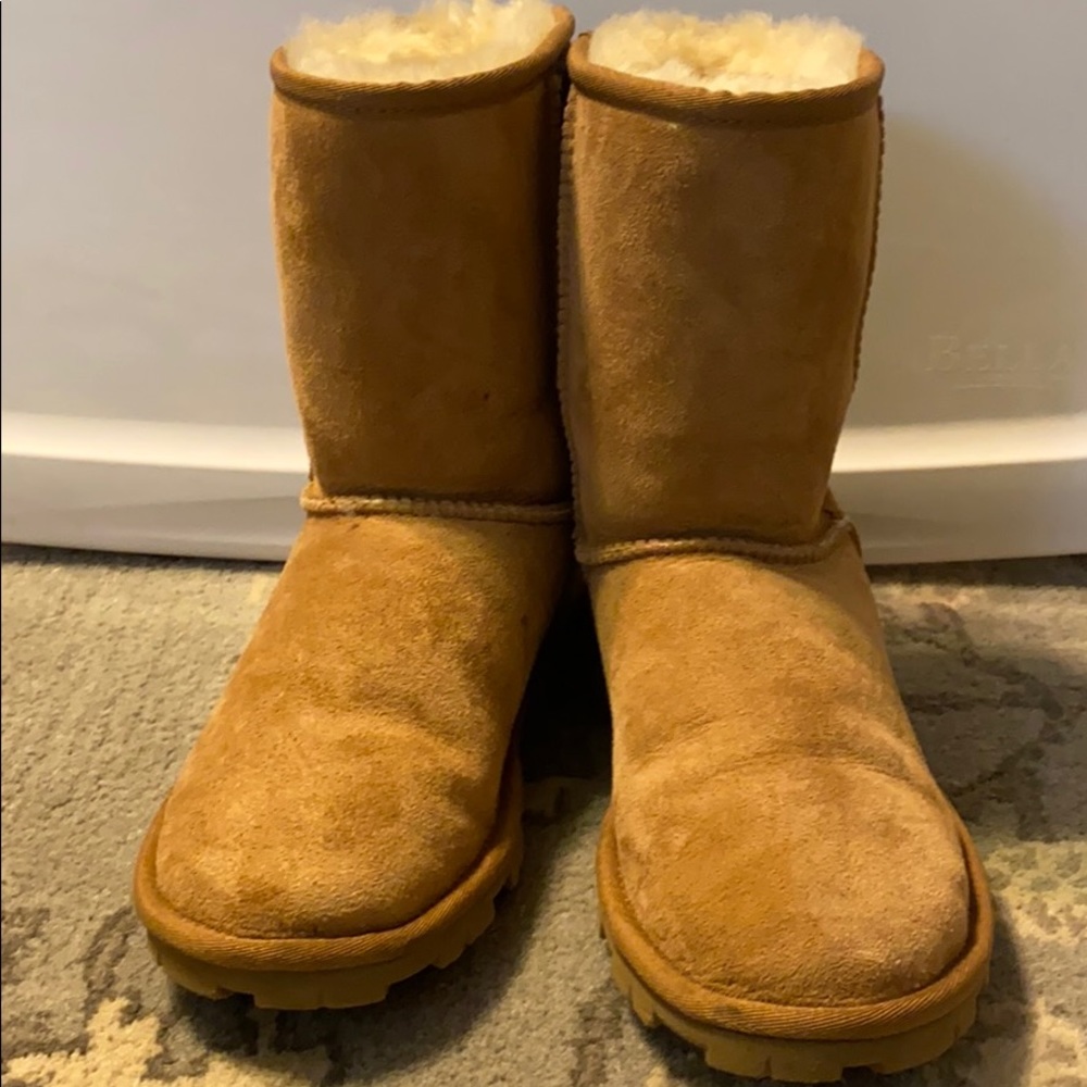 Classic Uggs (Size 6) tan